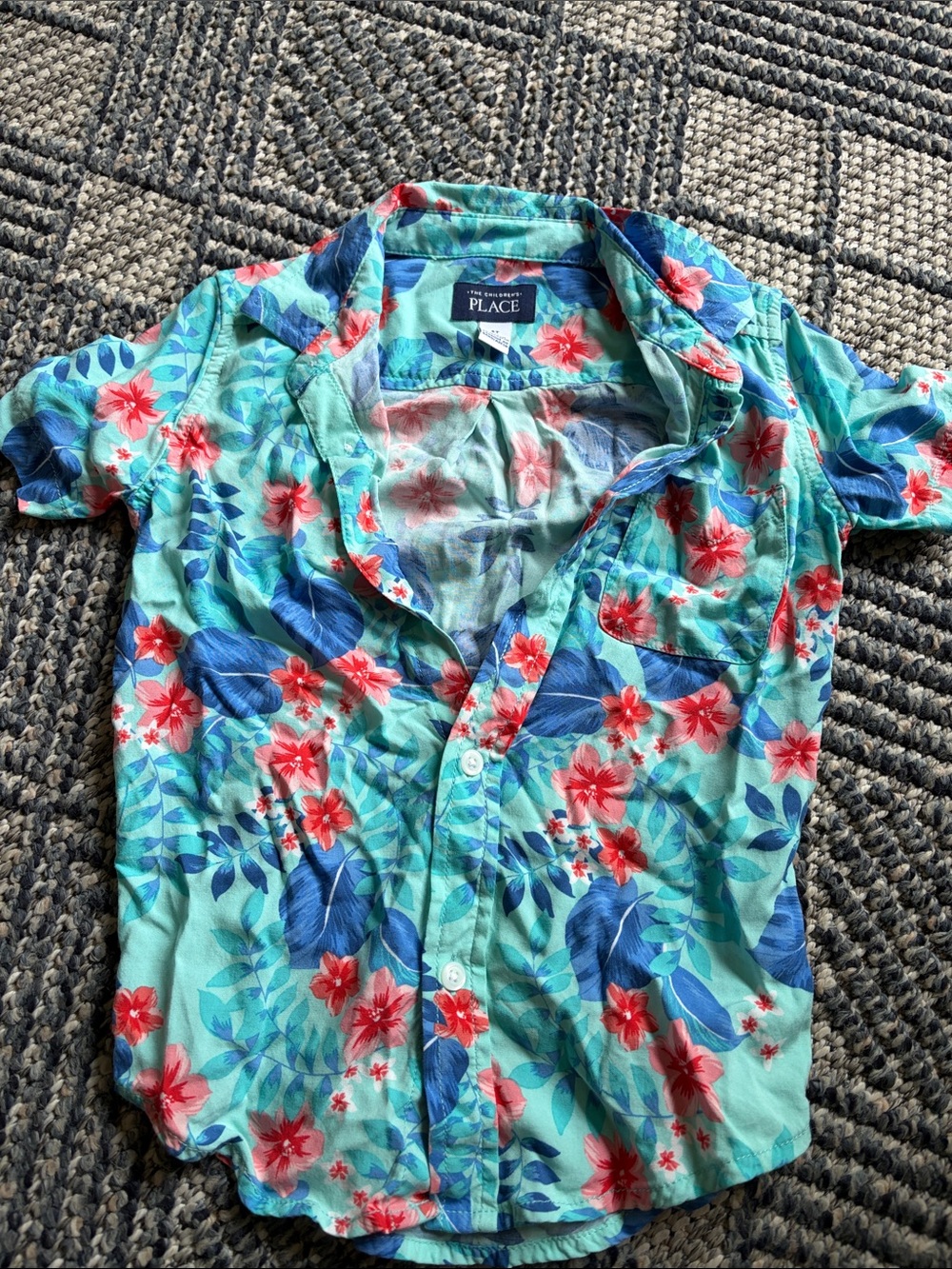 The Children’s Place Button Up